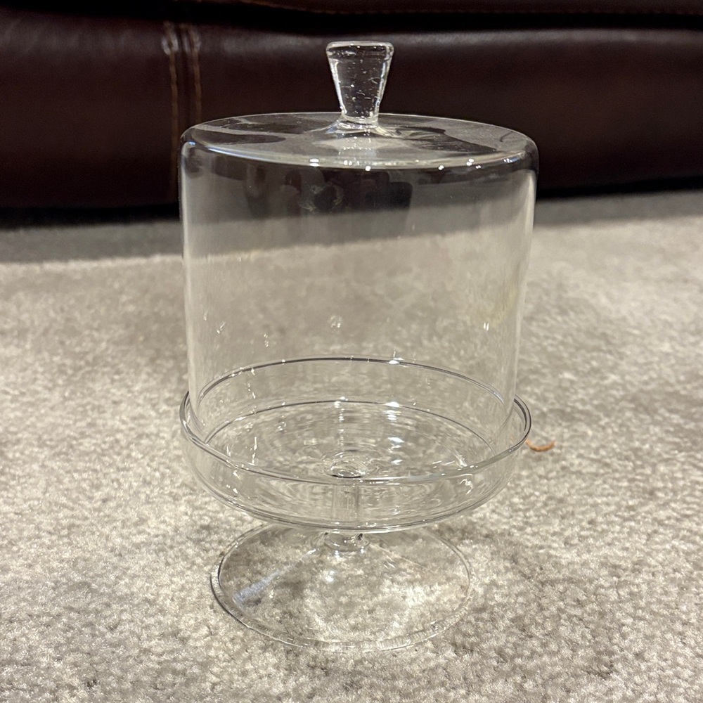 Clear Glass Cloche with Pedestal